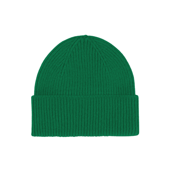 Colorful Standard Merino Wool Beanie (kelly green)