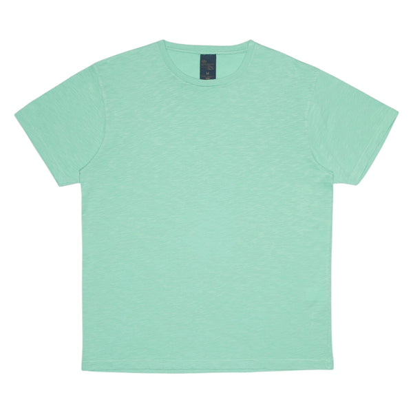 Nudie Roffe T-Shirt (turquoise)