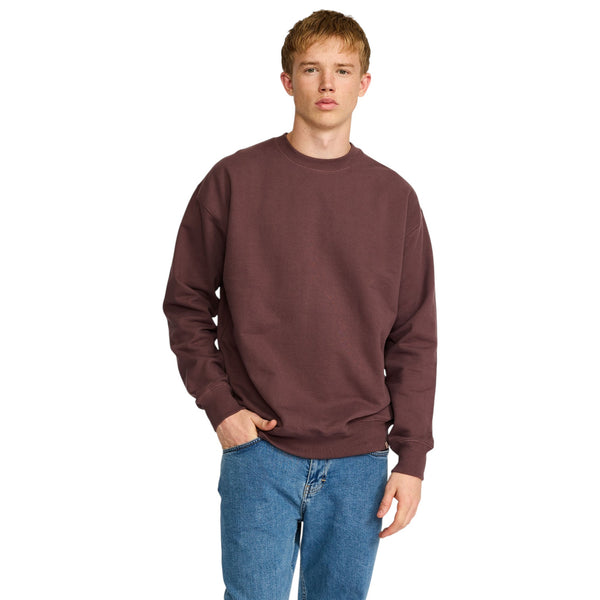 Revolution 2060 Crewneck (dustpurple)