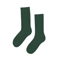 Colorful Standard Classic Organic Active Sock (emerald green)