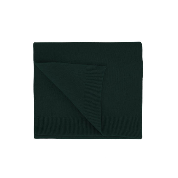 Colorful Standard Merino Wool Scarf (emerald green)
