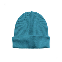 Colorful Standard Merino Wool Beanie (teal)